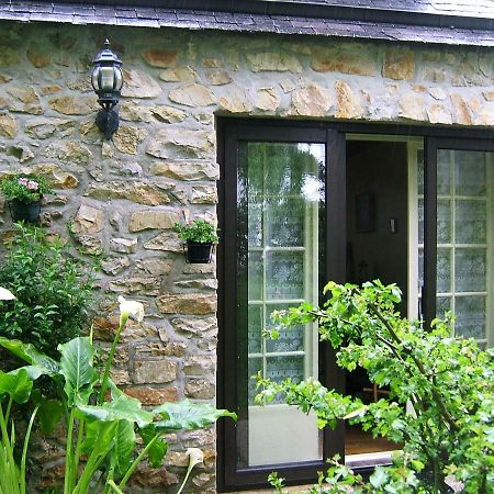 Appartements Tonton Jo Camaret-sur-Mer Zewnętrze zdjęcie