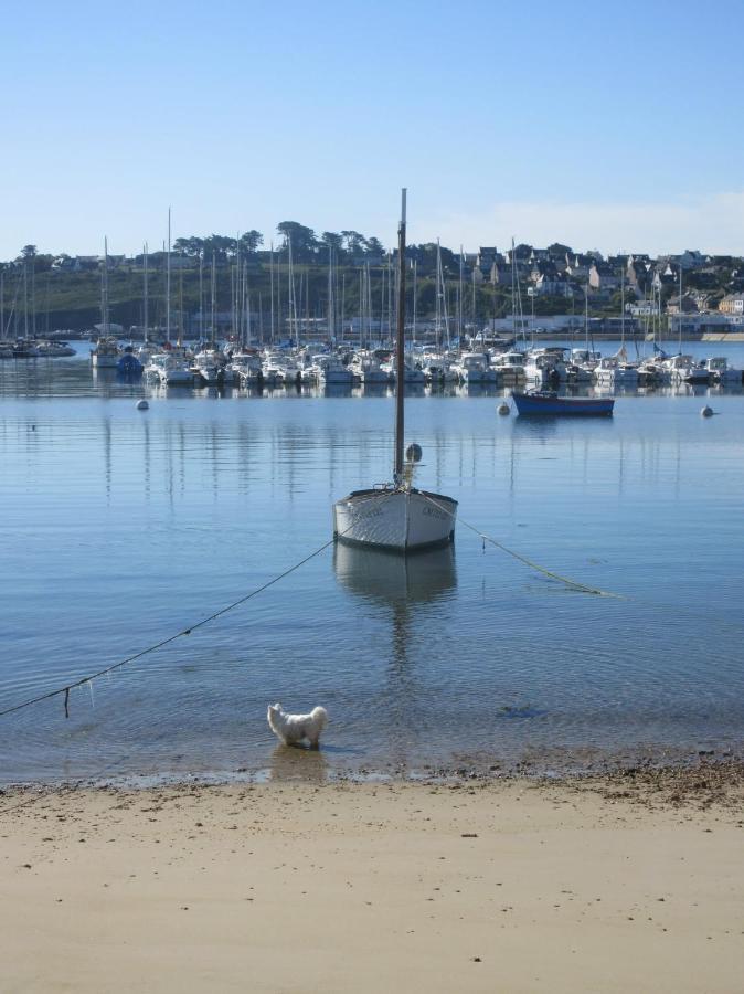 Appartements Tonton Jo Camaret-sur-Mer Zewnętrze zdjęcie